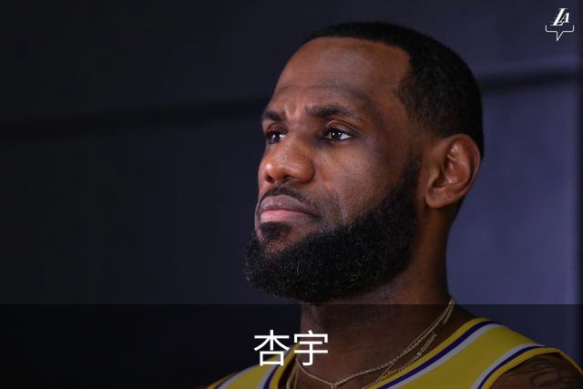 杏宇公司介绍